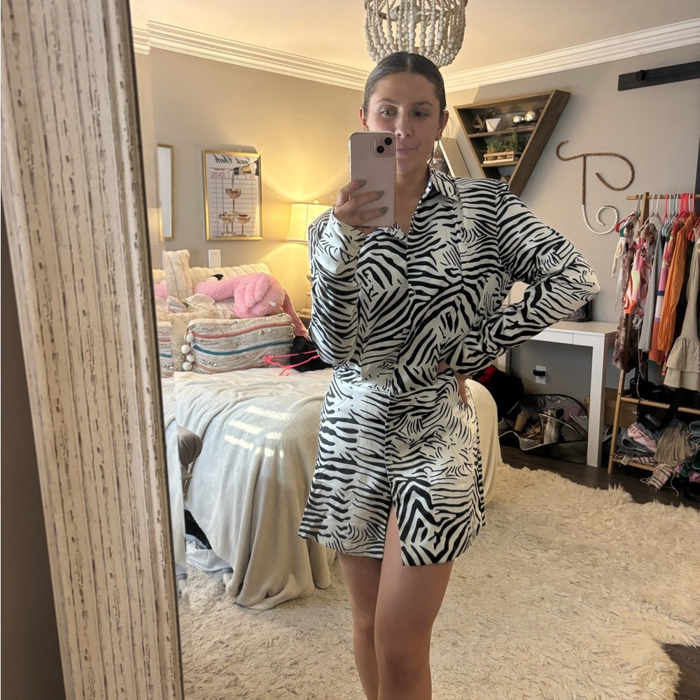 Zebra Print Long Sleeve Dress